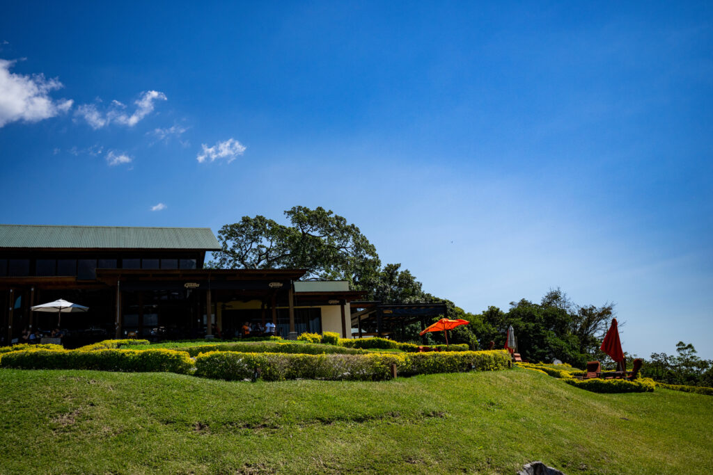 A scenic view of a building with a large lawn in front, under a clear blue sky. The area is lined with colorful flowers, and a few umbrellas and outdoor seating areas are visible.